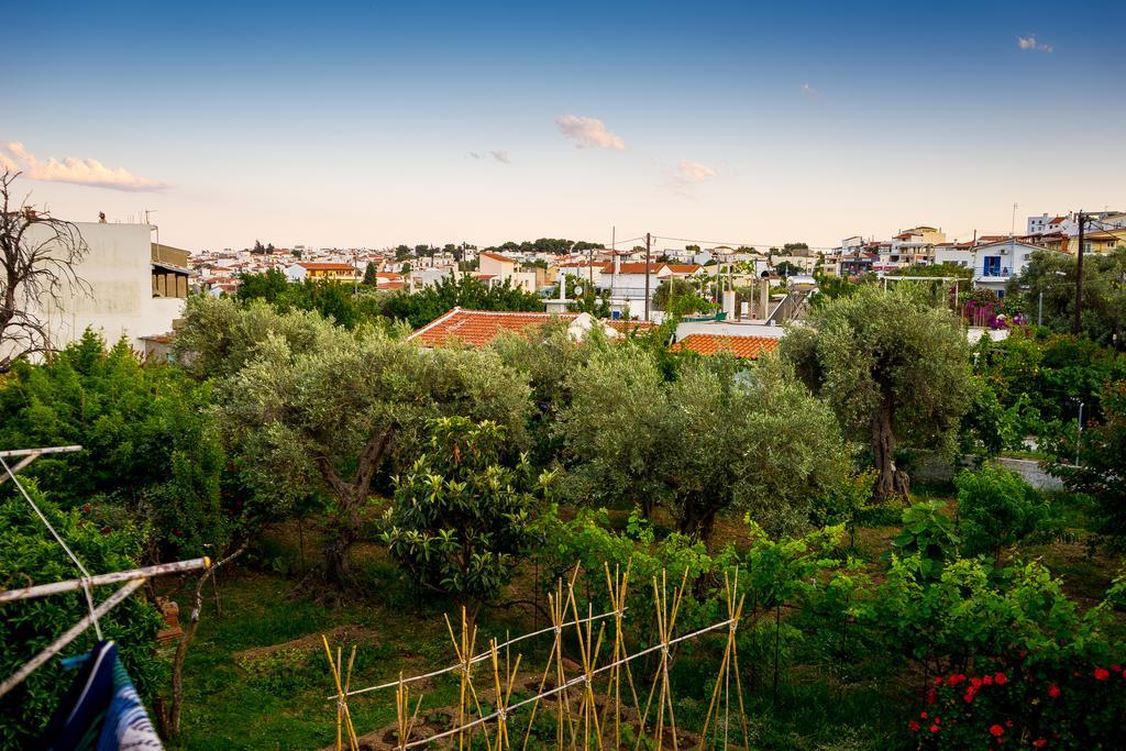 Act Art Skiathos Εξωτερικό φωτογραφία